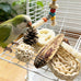 natural bird toys rattan foraging box parrot cockatiel lovebird parakeet budgie medium size non-toxic material