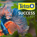 Tetra Cichlid Floating Pellets 6 Ounces, Nutritionally Balanced Top-Mid Water Feeding Cichlids Food 77063