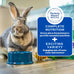 Timothy hay-based Oxbow Forage Wise Adult Rabbit Food, 4 lb bag, complete nutrition, made in USA
