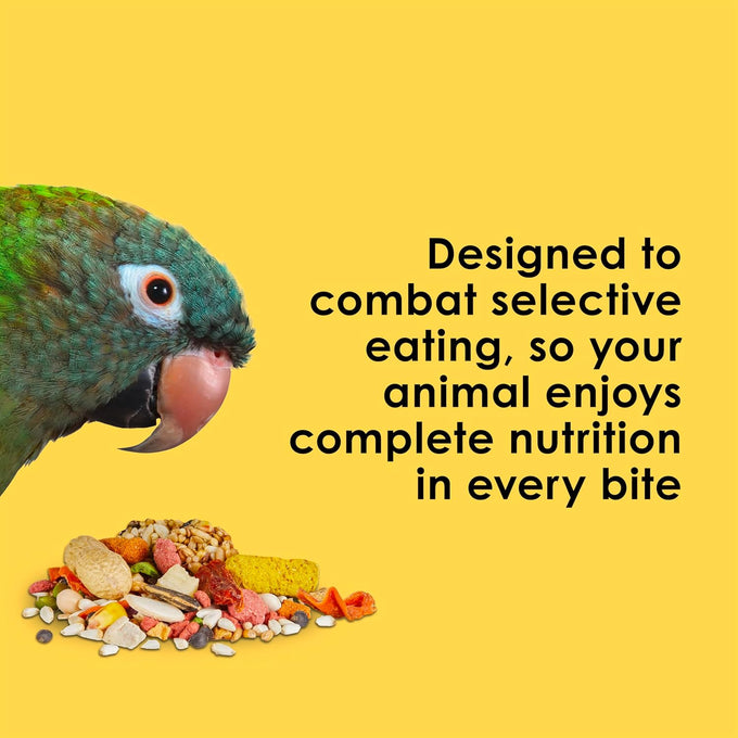 Kaytee Fiesta Big Bites Small Parrot & Conure Food, 4 Pounds, Nutritious and Fun Blend for Skin, Feather, Digestion, Brain and Heart Health