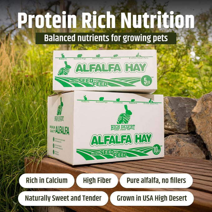High Desert Alfalfa Hay, Protein Rich, Natural Rabbit Food and Guinea Pig Hay, 1 Lb Box, Soft Leaf for Young Growing Animals
