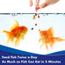 Aquarian Goldfish Flakes for Small Pond Fish, 50g Container, Complete Balanced Diet