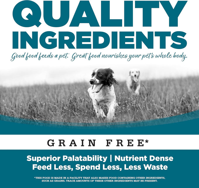 NutriSource Grain Free Chicken Recipe Dog Food, 12.3 Oz, Pack of 12