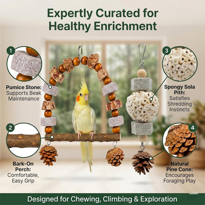 2 Pack Natural Bird Toys Set Arch Wood Swing Sola Ball, Cage Accessories for Cockatiel Conure Parakeets