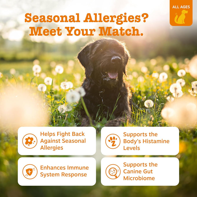 Zesty Paws Lamb Allergy Immune Bites, Dog Probiotics Chews for Itchy Skin and Ears, 90 Count