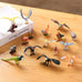 24-piece realistic bird figurines set with varied species and decorative uses for kids and collectors