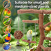 limio natural grape wood bird parakeet perch stand with toys for small birds
