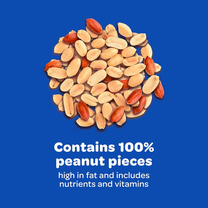Kaytee shelled peanuts for cardinals, blue jays, and woodpeckers, 11 pounds, high-energy wild bird food