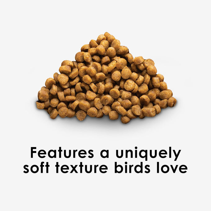 Kaytee 3 Pound Nutri Soft Parrot & Conure Bird Food, Soft Texture, No Artificial Colors or Flavors