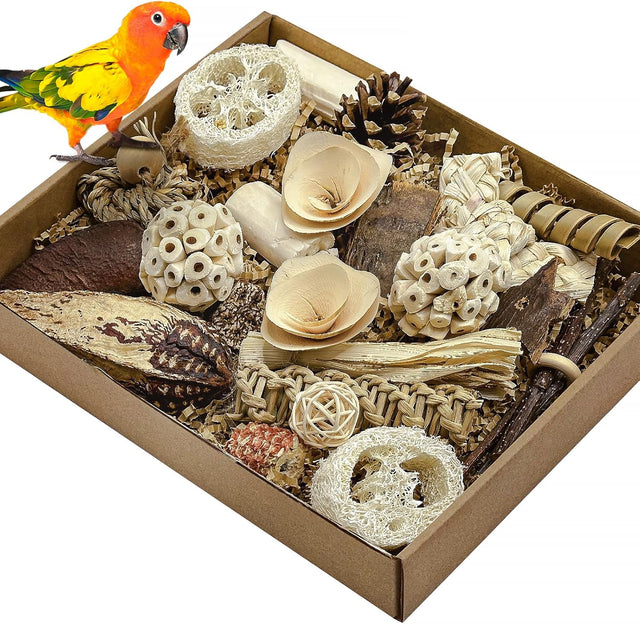 Nature Color Natural Bird Toy Foraging Parrot Shredding Toys Box for Small-Medium Birds