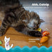 Catstages 4-pack Dental Fruit Wedges soft and textured catnip chew toys for adult cats and kittens