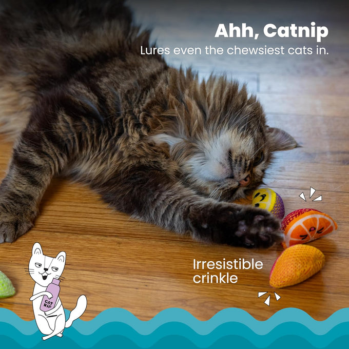 Catstages 4-pack Dental Fruit Wedges soft and textured catnip chew toys for adult cats and kittens
