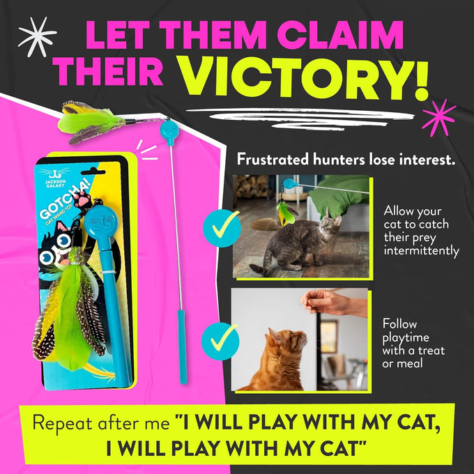 Jackson Galaxy Gotcha! Telescoping Cat Wand Toy with Natural Feathers for Indoor Cat Play
