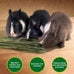 Premium dust-free natural oat hay for pets - rabbits, guinea pigs, chinchillas, hamsters & gerbils - 100% chemical-free, organic