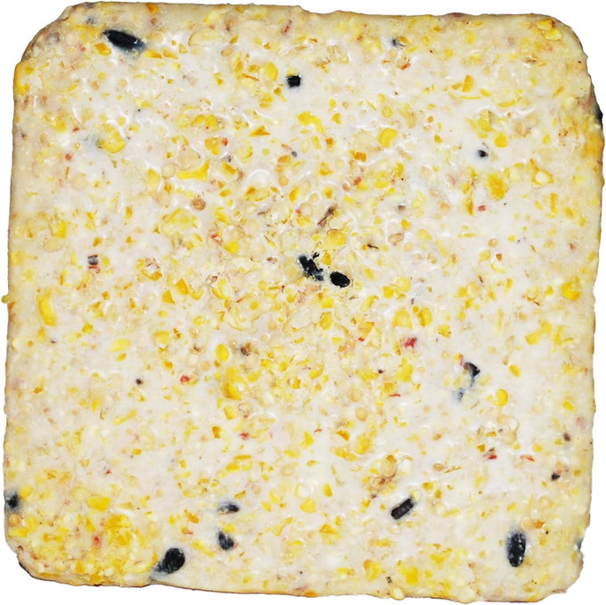 st albans bay suet plus 10 pack variety high energy wild bird suet cakes 11 oz easy-open