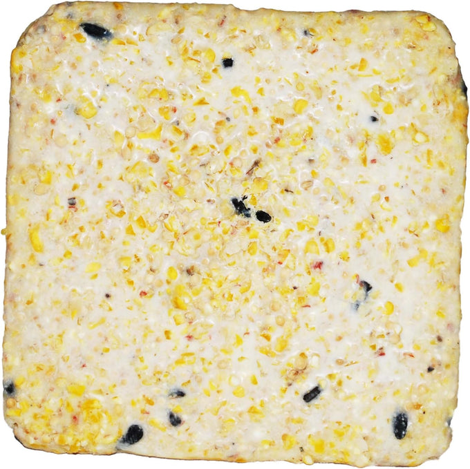 st albans bay suet plus 10 pack variety high energy wild bird suet cakes 11 oz easy-open