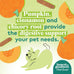 honest-to-goodness-plant-snacks-mellow-belly-pumpkin-cinnamon-dog-treats-enriched-with-omega-3s-and-postbiotics-8oz