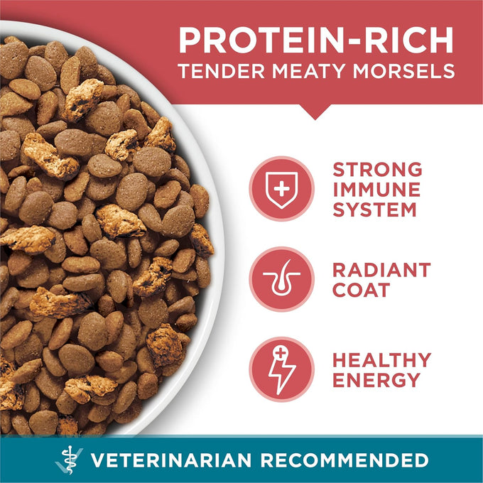 Purina ONE Natural Dry Cat Food with Real Salmon, 22 lb Bag - Digestive Care Formula