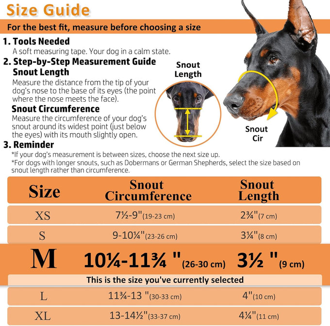 Barkless dog muzzle for biting, chewing and scavenging, humane cage mouth cover for medium aggressive reactive dogs, black, medium