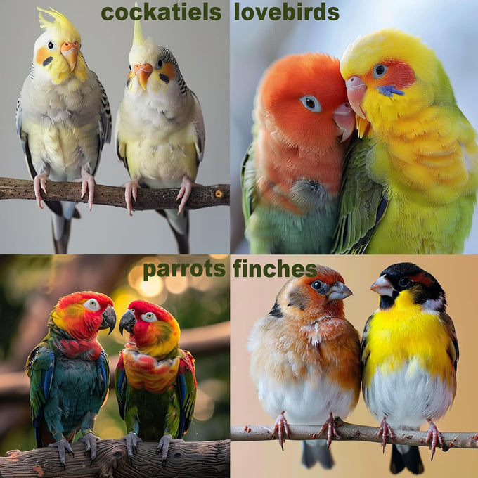 Wooden parakeet toys and accessories, 7-piece set for small conure, cockatiel, and budgie cages, 18 inches
