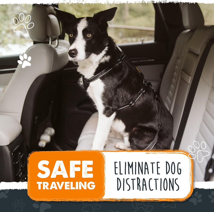 Mighty Paw Safe Dog Seat Belt for Cars - Aviation Grade Aluminum Carabiner, Adjustable, Heavy-Duty Design