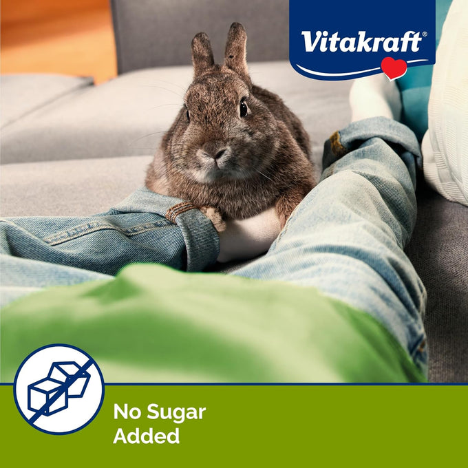 Vitakraft Slims Carrot Small Animal Treats, 10oz, Light, Healthy Food Bites for Rabbits, Guinea Pigs, Hamsters & Chinchillas