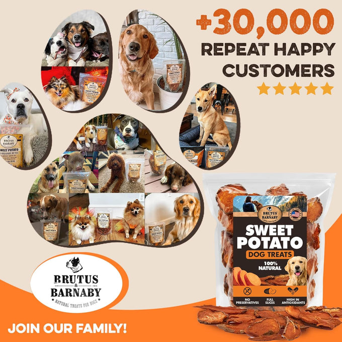 Brutus & Barnaby usa-grown sweet potato dog treats for sensitive stomachs, single ingredient, hypoallergenic