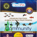Northfin fish food community formula slow sinking pellets 0.5mm diameter 100g