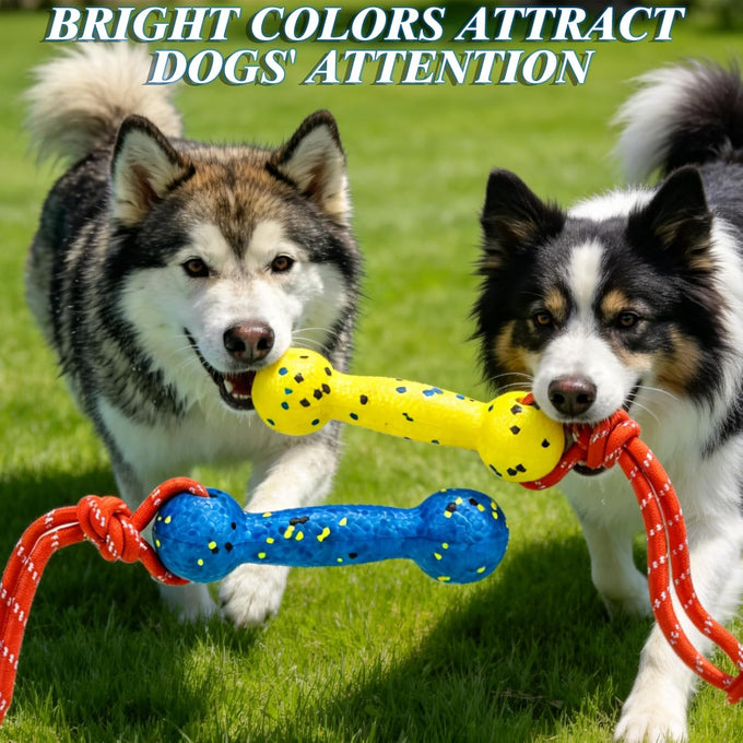 Expawlorer Floating Dog Toys 2 Pack, 7.9x2.4 inches ETPU Foam with Rope, for Water Fetch and Retrieving Games