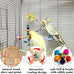 2pcs natural wood parrot toys with bells for small and medium birds, parakeet, cockatiel, conure, lovebird, budgie, quaker
