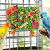 large-sized parrot foraging & shredding cage hanging toys for budgies, cockatiels, lovebirds, conures with eco-friendly seagrass and starfruit accents