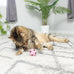 spot interactive colorful plush cat toys soccer balls 1.5 inch assorted 4 pack