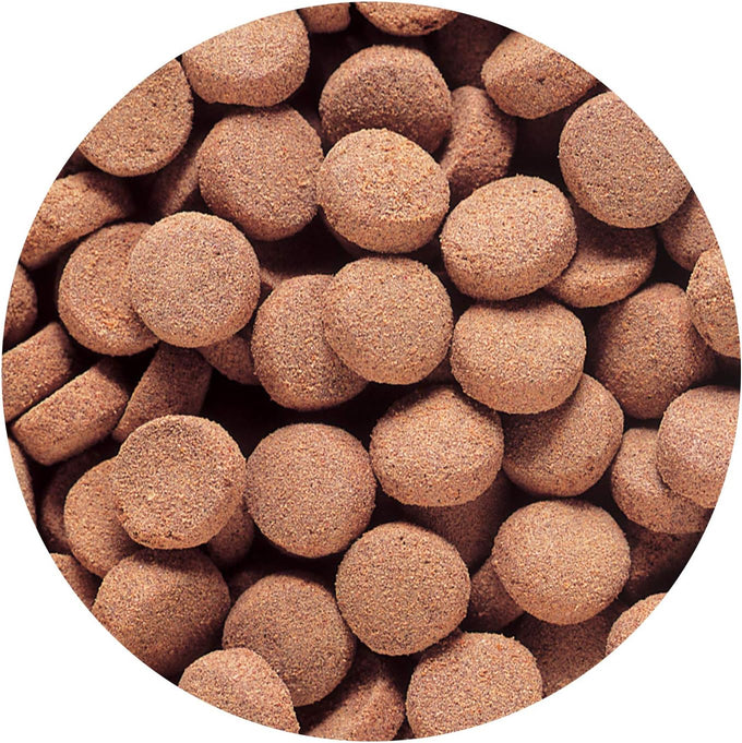 Hikari Tropical Massivore Delite Fish Food, 13.4 oz (380g) for Large Carnivorous Fish with Balanced Nutrition