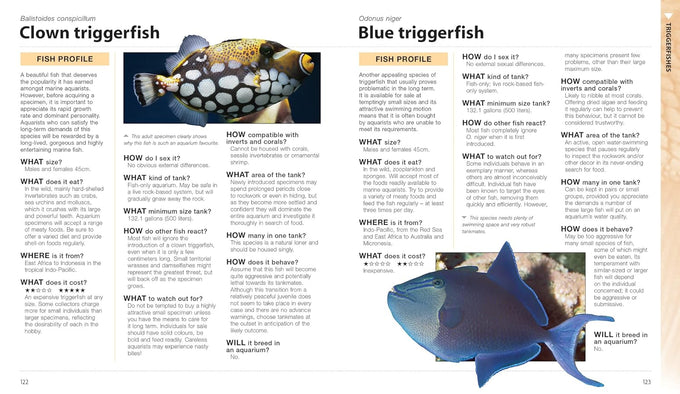 What Saltwater Fish: A Comprehensive Guide for Aquarium Enthusiasts, March 10, 2023, Paperback