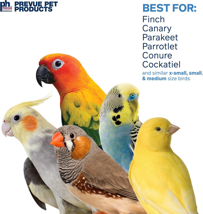 prevue-pet-products-sound-movement-mr-mustache-bird-toy-62614-environmentally-friendly-noise-stimulation-toy-for-birds