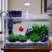 3-gallon glass small fish tank starter kit with high-efficiency filter and led lights lid