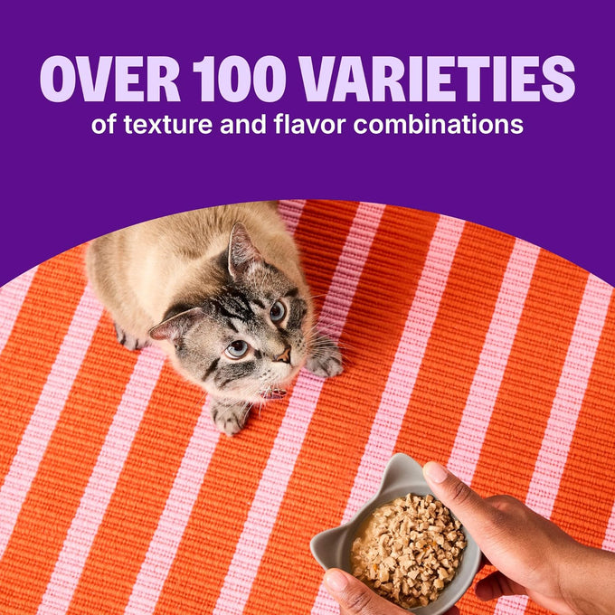 Wellness CORE Signature Selects Shredded Adult Canned Wet Cat Food, Grain Free, Chicken and Beef Entrée Recipe, 12 Cans