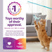 SmartyKat Frisky Flyer Extendable Cat Toy, Blue, One Size, 24" Reach