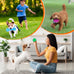 Yunsailing 9 piece dog squeaky toys set, TPR rubber pet chew toys for small medium size dogs teething and training