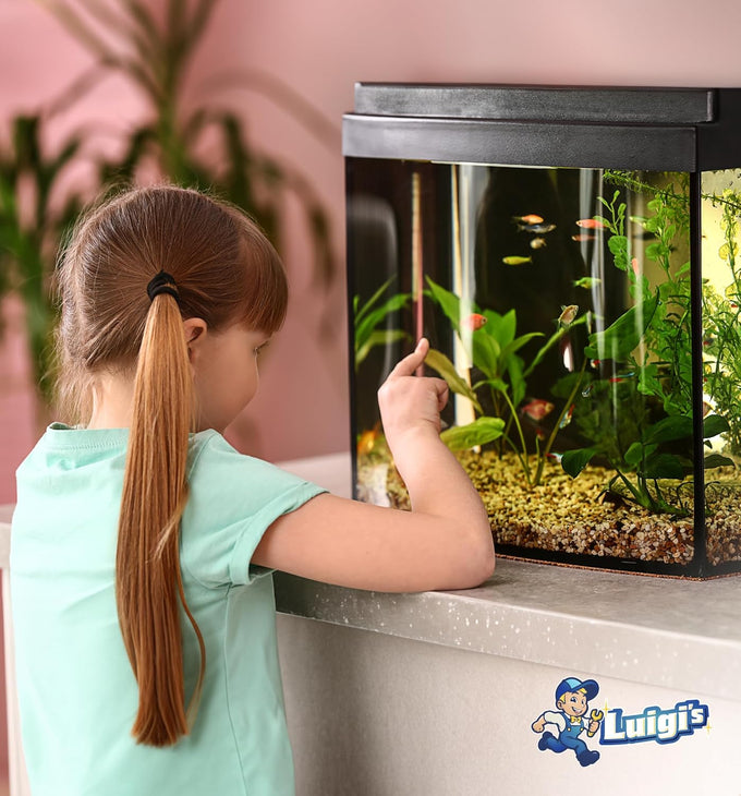 Luigi's Aquarium Gravel Vacuum for Water Changes and Cleaning - Hand Siphon Hose with Filter - Turtle Tank Accessories
