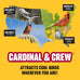 Cool Birds Cardinal & Crew 10 lb Black Oil Sunflower Blend for Cardinals, Grosbeaks & Chickadees Bird Food