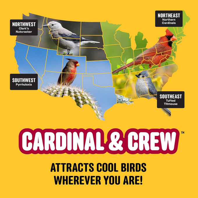 Cool Birds Cardinal & Crew 10 lb Black Oil Sunflower Blend for Cardinals, Grosbeaks & Chickadees Bird Food
