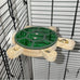 Wooden 5-Drawer Parrot Puzzle Feeder Toy with Acrylic Cover, Green, for Small Pets and Birds