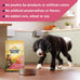 Nature's Recipe Grain Free Salmon, Sweet Potato & Pumpkin Recipe Dry Dog Food, 24 lb. Bag