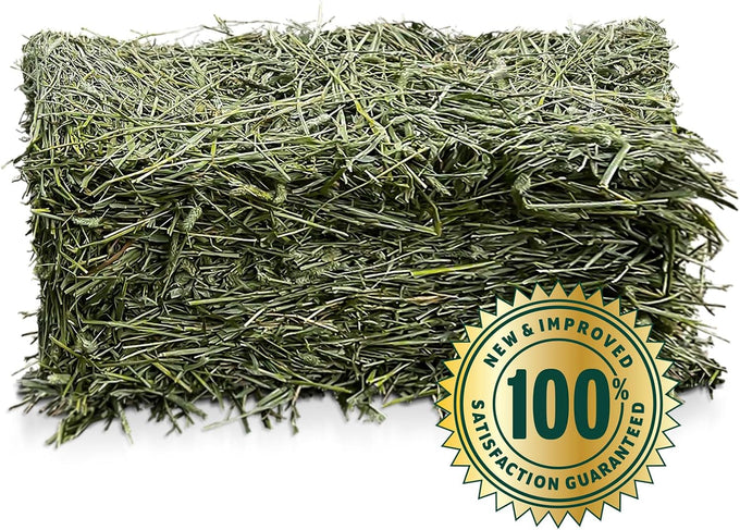 Eaton premium 1st cut western timothy hay orchard blend small animal food 6lb box sustainable eco-friendly