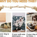 Fida Cotton Rope Dog Toy for Large/Medium Aggressive Chewers, 3 Feet 5 Knots, Tug of War and Teeth Cleaning