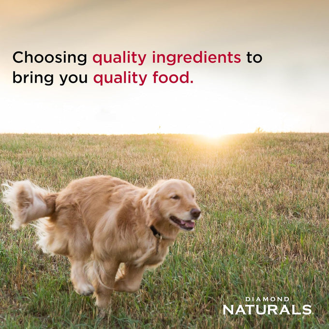 Diamond Naturals Chicken & Rice Dry Dog Food, 40 lb