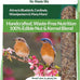 Lyric Fine Tunes Wild Bird Seed Mix for Outside Feeders - 5 lb Bag - Attracts Bluebirds, Finches, Chickadees & More