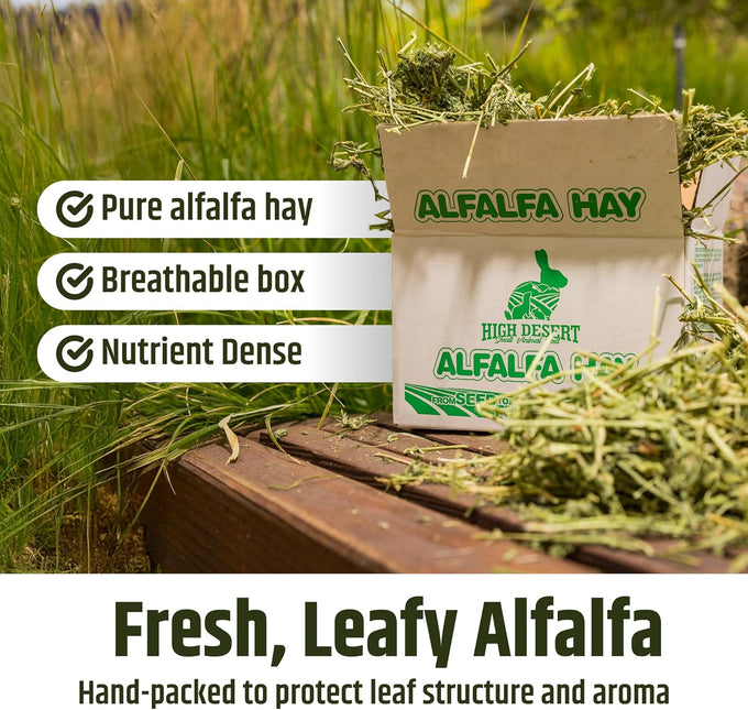 High Desert Alfalfa Hay, Protein Rich, Natural Rabbit Food and Guinea Pig Hay, 1 Lb Box, Soft Leaf for Young Growing Animals