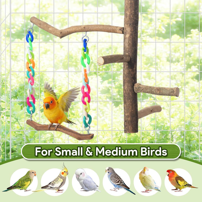 Bird Swing Toys with Perch Stand for Budgies, Parakeets, Cockatiels, and Small Birds - Bird-Safe Wood and Colored Chains